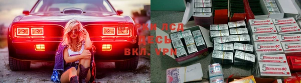 кокс Елизово