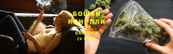трава Гусев