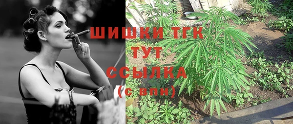 спайс Дмитриев