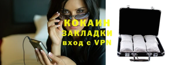 мдпв Дмитровск
