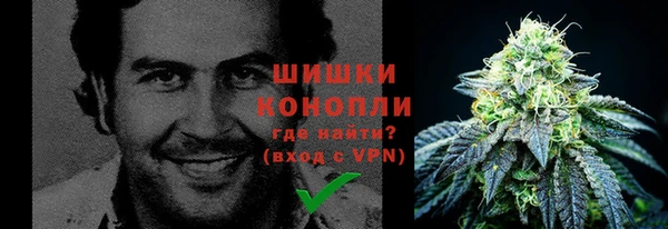 трава Гусев