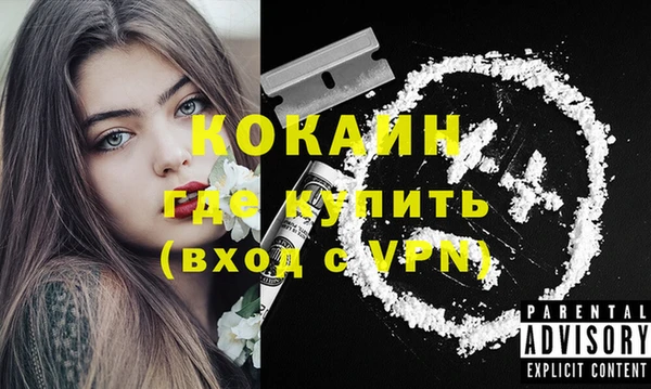 спайс Дмитриев